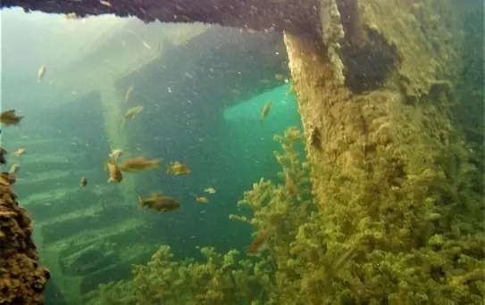 Rumkale'nin yer altında kalan zenginlikleri sergilendi