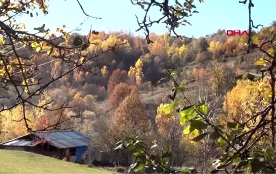 Karadeniz'de havalar soğudu, köyler sessizliğe büründü