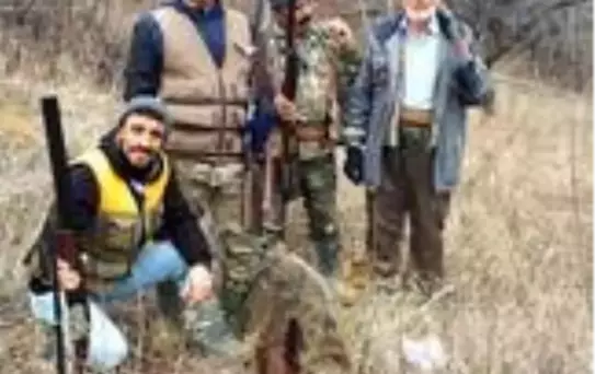 Darende'de sürek avı yapıldı