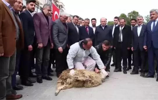 Ulaştırma ve Altyapı Bakanı Turhan Samsun'da incelemelerde bulundu