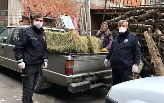 Vefa Sosyal Destek Grubu'ndan inekleri için ot istedi
