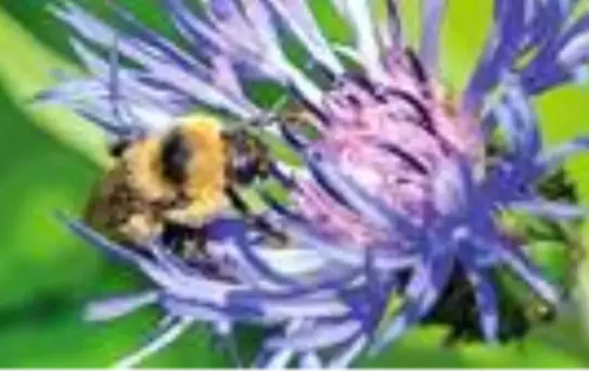 Her bir hayvan hikayesi bize yaşadığımız dünyanın başka bir yüzünü gösteriyor