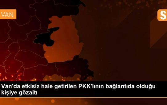 Van'da etkisiz hale getirilen PKK'lının bağlantıda olduğu kişiye gözaltı