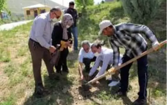 Urartu mirası Erciş üzümünün ekimi artıyor