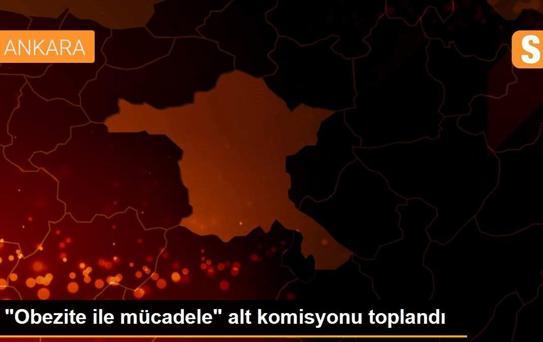 'Obezite ile mücadele' alt komisyonu toplandı