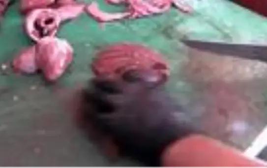 Turizmi lezzetleriyle tutkuya dönüştüren rota: Güneydoğu