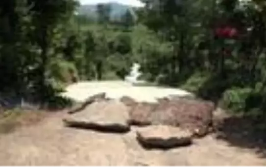 Yola dökülen betonu tahrip eden kadına soruşturma