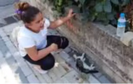 9 yaşındaki kız çocuğu, can çekişen yavru kediyi görünce gözyaşlarına hakim olamadı