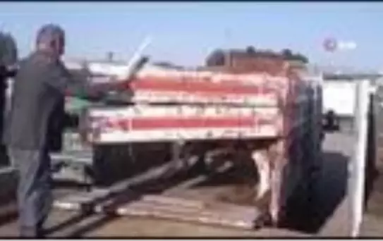 Ağrı Hayvan Borsası'nda Kurban Bayramı hareketliliği sürüyor