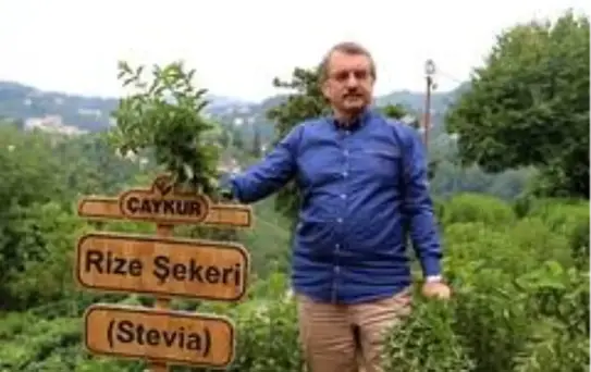 ÇAYKUR Eski Genel Müdürü İmdat Sütlüoğlu iddialara cevap verdi