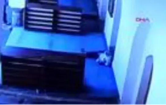 Camide uyuyan kişinin parasının çalınma anı kamerada