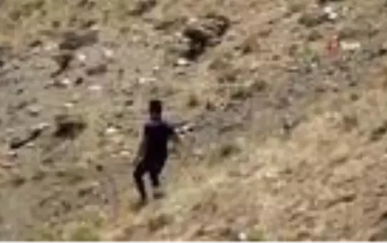 Tek geçim kaynağı olan kayıp koyunlarını 2 gündür dağ taş demeden arıyorlar