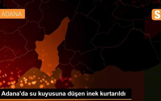 Adana'da su kuyusuna düşen inek kurtarıldı