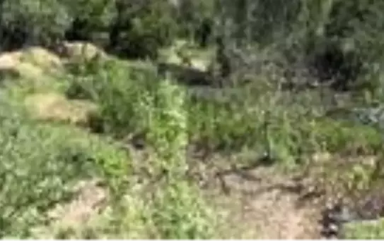 2 bin nüfuslu beldede kurulan kooperatif kadınlara umut oluyor