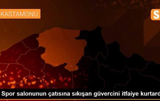 Spor salonunun çatısına sıkışan güvercini itfaiye kurtardı