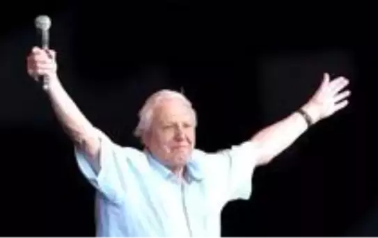 David Attenborough: Instagrama 'hızlı' giriş yapan 94 yaşındaki çevreci ve belgesel yapımcısı...
