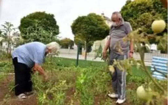 Toprağa dokunarak stres atıyorlar