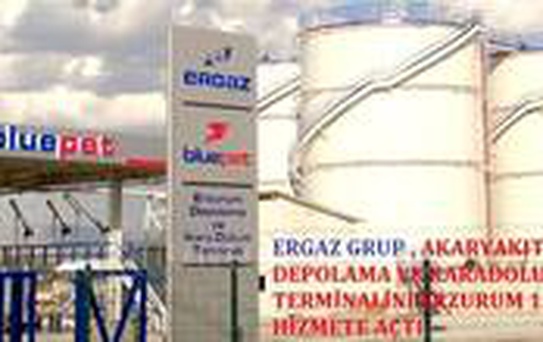 Türkiye Ekonomisine Ergaz enerjisi