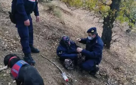 Ayvacık'ta kaybolan 83 yaşındaki kadın jandarma tarafından sağ bulundu