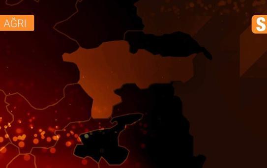 Türkiye'de 2020 böyle geçti (3)