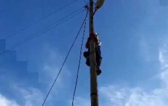 Elektrik direğinde mahsur kalan kediyi ÇEDAŞ ekipleri kurtardı