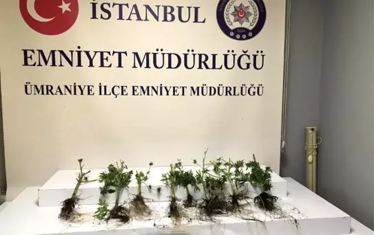 Ümraniye'de uyuşturucu imal edilen eve baskın