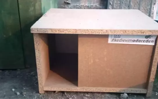 Kedi evlerini hayvanseverlere hediye etti