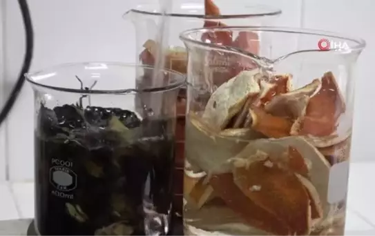 Sebze ve meyve kabuklarından boya geliştirildi