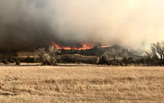 ABD'nin Kuzey Dakota eyaletinde orman yangını: gökyüzü dumanla kaplandıEyalet genelinde acil durum ilan edildi