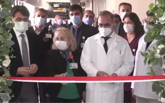 Son dakika haberleri! DİYARBAKIR - Bel ve boyun fıtığı, migren, diz rahatsızlıklarında geleneksel tedavi yöntemleri kullanılıyor