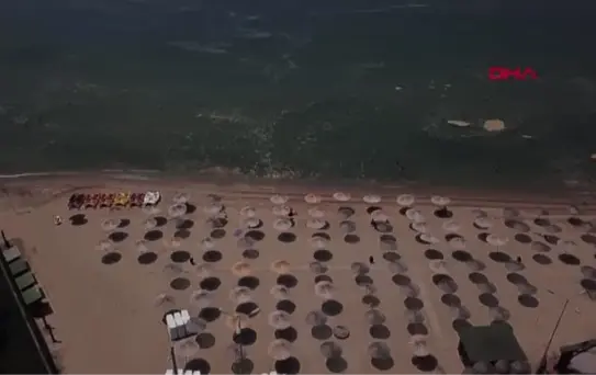 KOCAELİ DARICA'DA MÜSİLAJA RAĞMEN DENİZE GİRDİLER