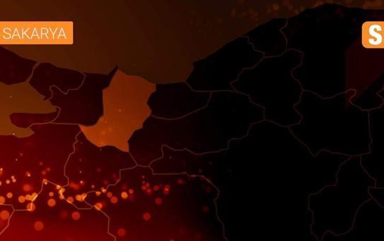 Sakarya'da panelvanla çarpışan otomobildeki yaşlı çift öldü