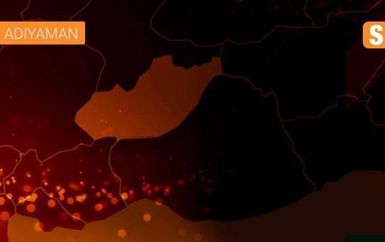 Biber yüklü tır devrildi