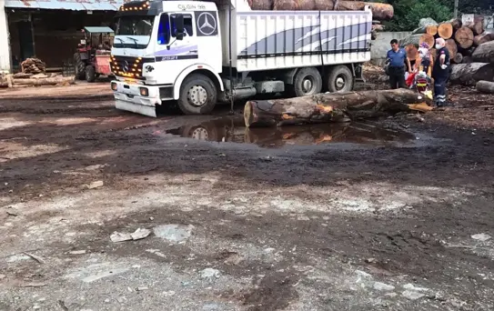 Son dakika haber... Artvin'de üzerine tomruk düşen kişi öldü