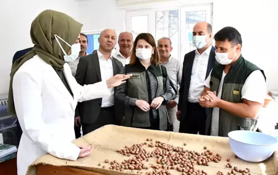 Kılıç: 'Fındık bizim olmazsa olmazımız'