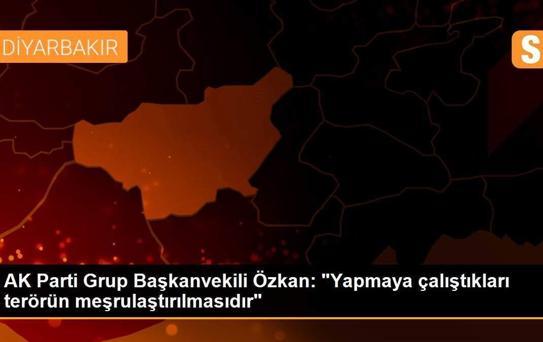 AK Parti Grup Başkanvekili Özkan: 'Yapmaya çalıştıkları terörün meşrulaştırılmasıdır'