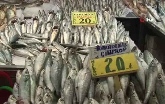 Deniz olmayan Başkent'te Ulus Hali Balıkçı esnafı meydan okudu
