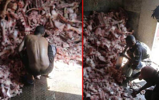 Brezilya'da insanlık dramı yaşanıyor! Hayvan leşlerini yemek için hücum edenler insanlar dünyayı ayağa kaldırdı