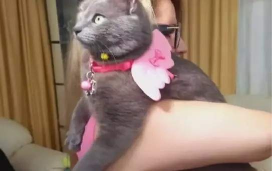 SAHİPLENDİKLERİ KEDİYE DOĞUM GÜNÜ PARTİSİ YAPTILAR