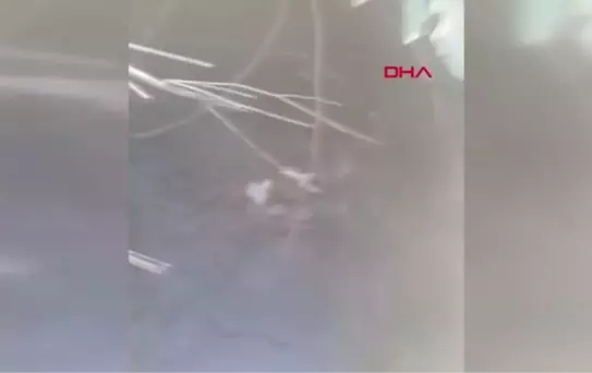 KUYUYA DÜŞEN KÖPEĞİ BELEDİYE ÇALIŞANLARI KURTARDI