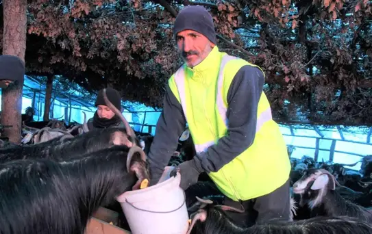 Huzur ve güven ortamıyla köyüne geri dönen çiftçinin yüzü güldü