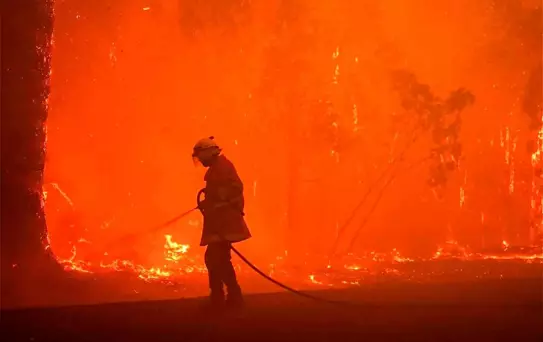 Avustralya'da orman yangını: 60 bin hektar alan küle döndü