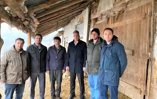 Küçükbaş hayvan işletmesinde destekler anlatıldı