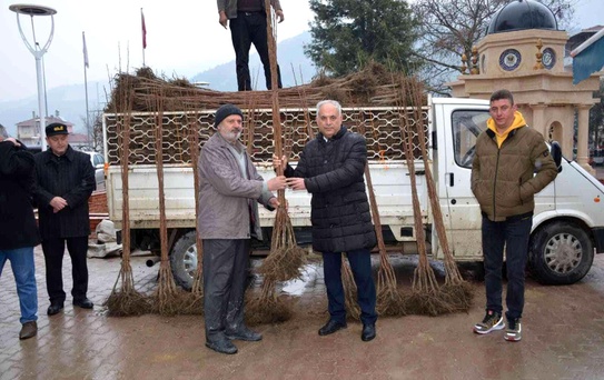 Bilecik'te 4 bin 150 adet cennet hurması dağıttı