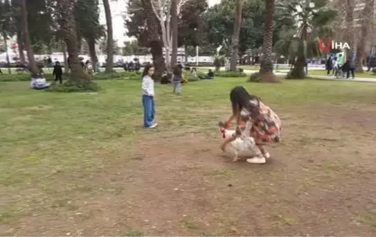 Adana'nın horozu da kebap yiyor