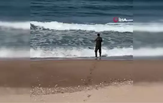 Kıyıya vuran yunusu elleriyle denize döndürdü