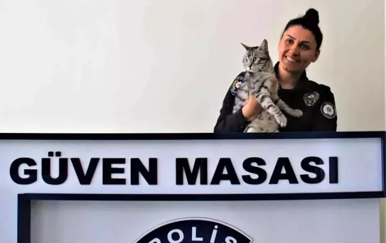 Son dakika haberi: Polisin şefkati, kaza geçiren kediyi yaşama bağladı