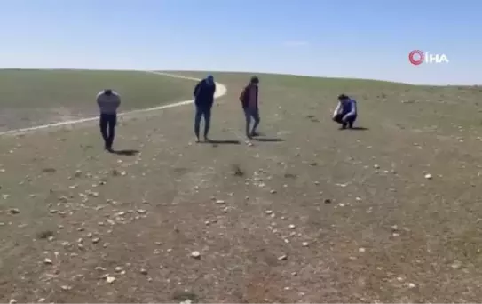 Yağışların az olması keme mantarı toplayıcısını üzdü