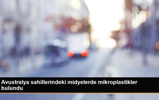 Avustralya sahillerindeki midyelerde mikroplastikler bulundu