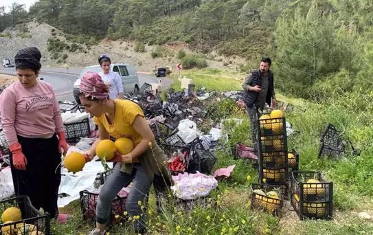 Sebze yüklü kamyon yan yattı